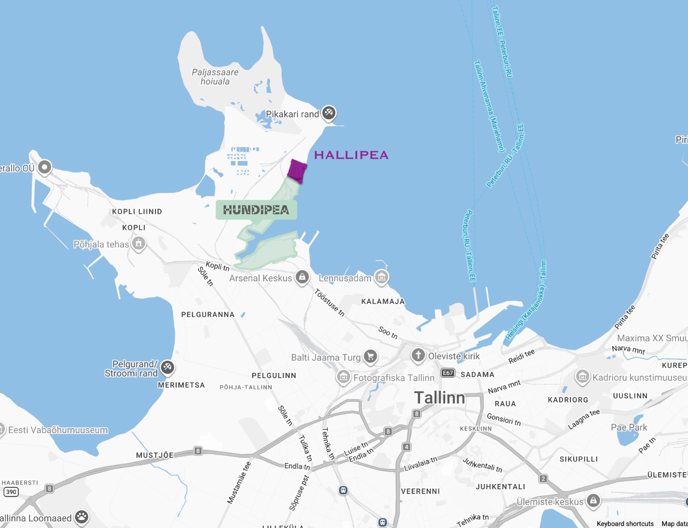Hallipea ja Hundipea asukoht Tallinnas